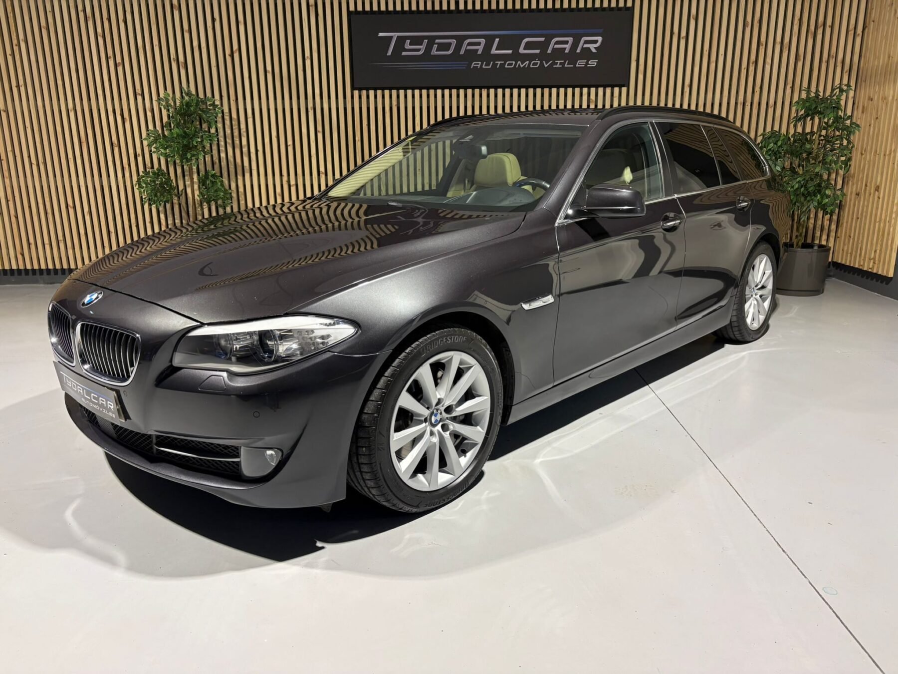 BMW Serie 5 3.0 D