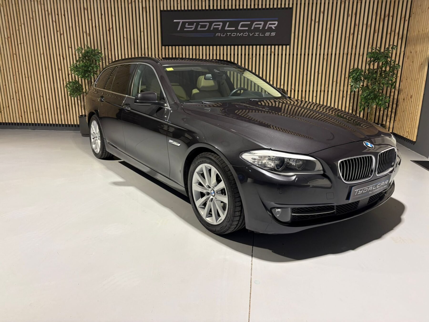 BMW Serie 5 3.0 D