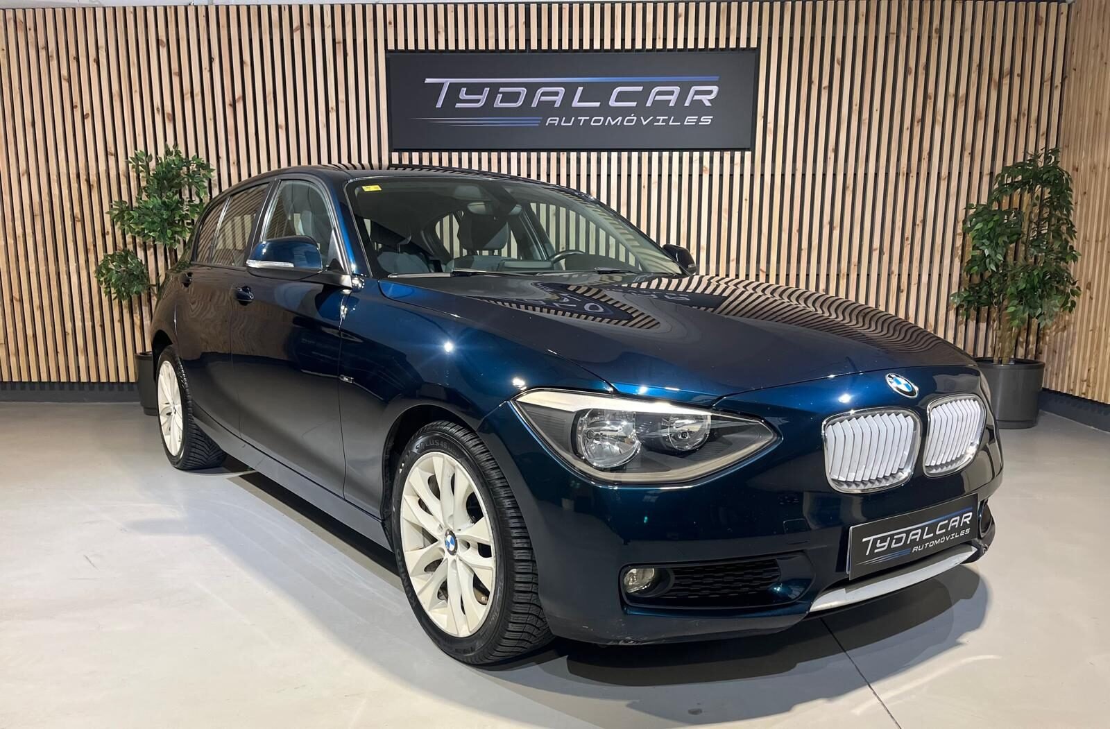 BMW Serie 1 116 D   2.0 D 