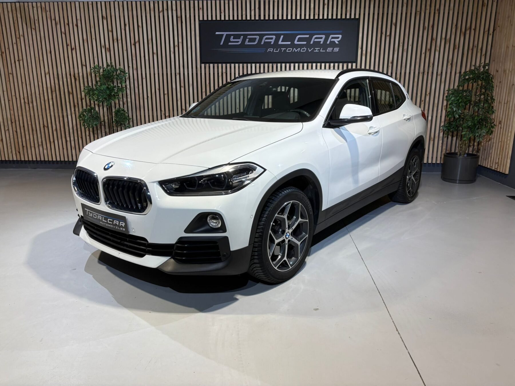 BMW X2 2.0