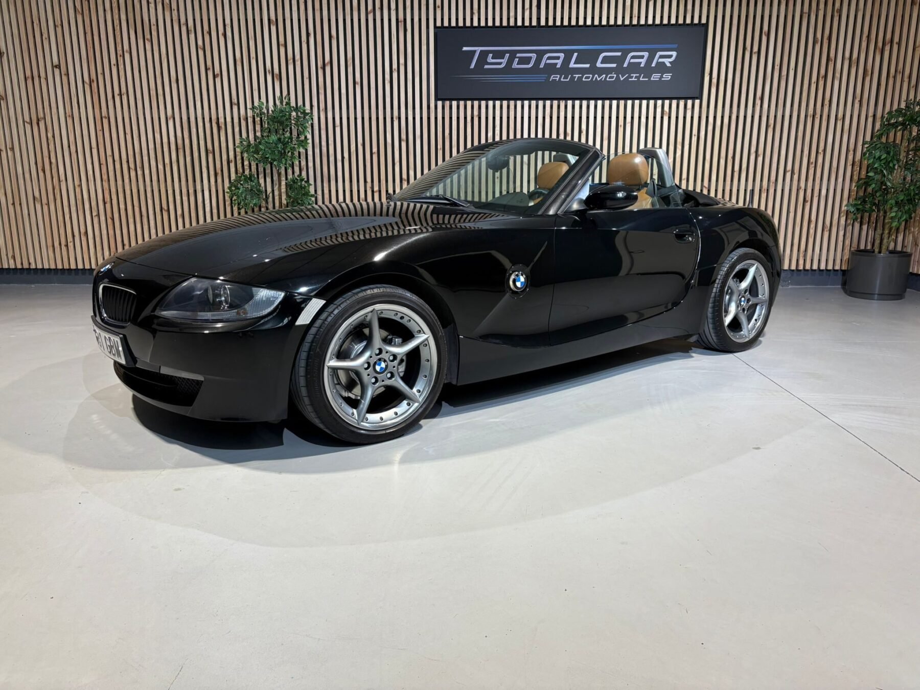 BMW Z4 2.0