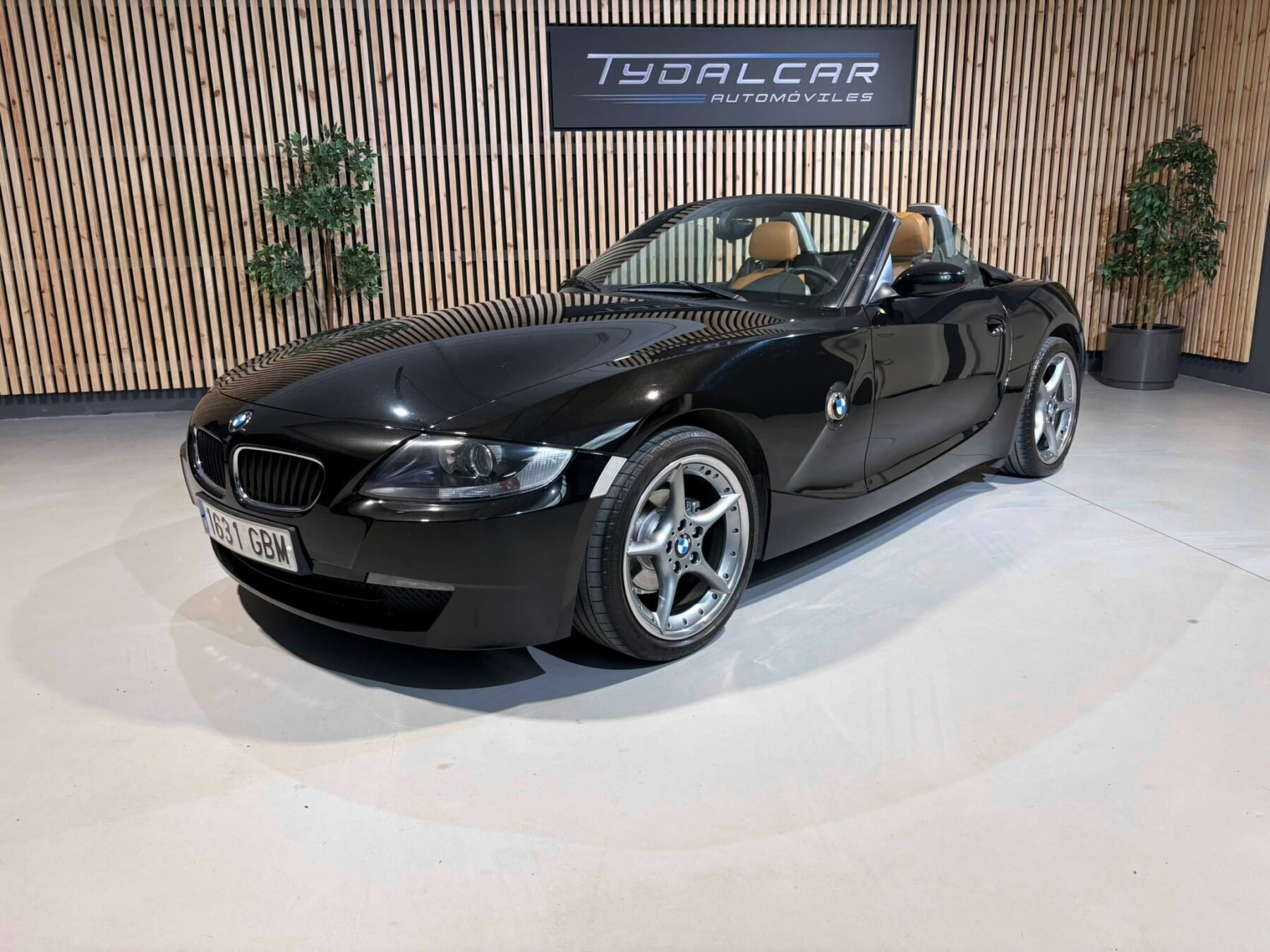 BMW Z4 2.0