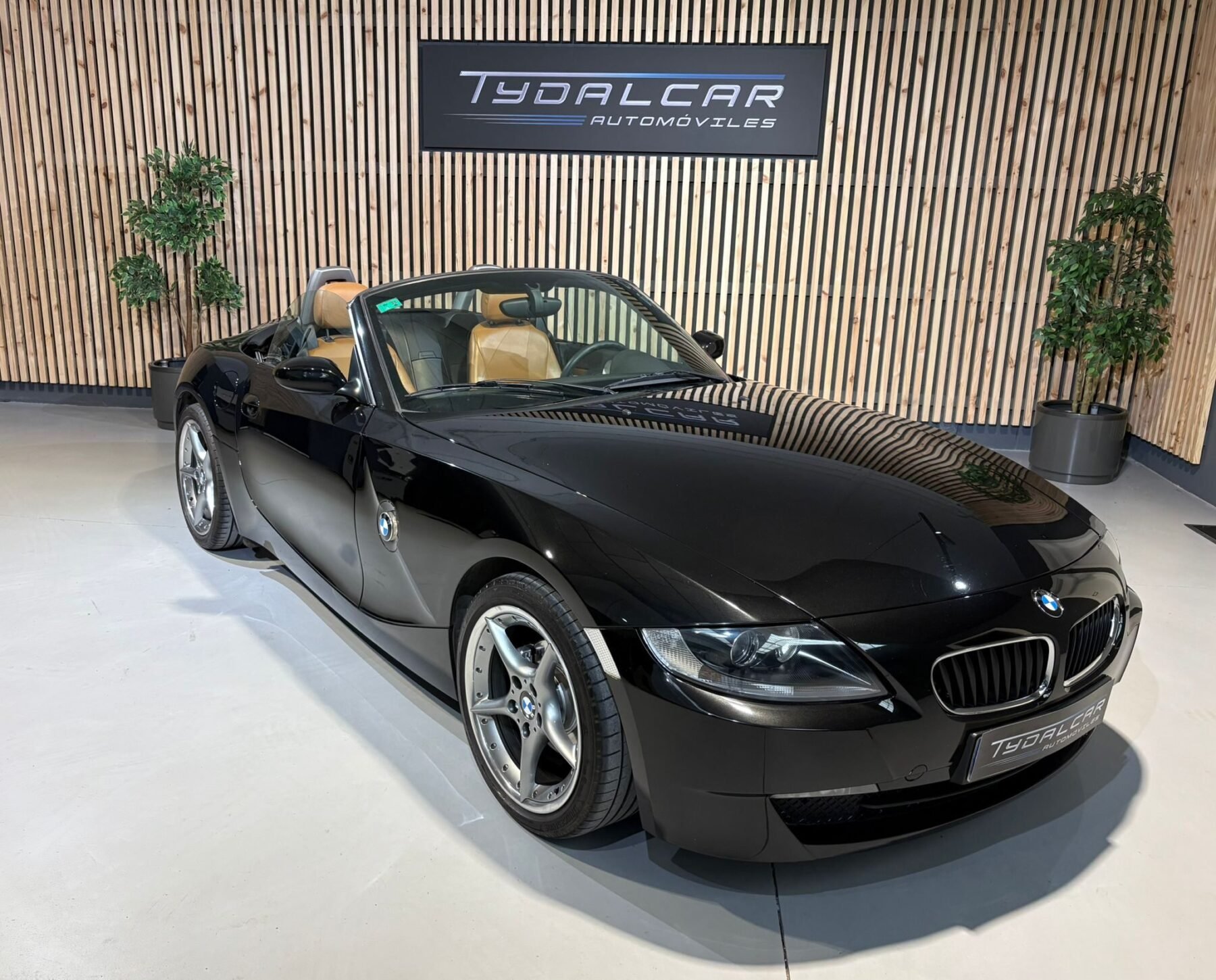 BMW Z4 2.0