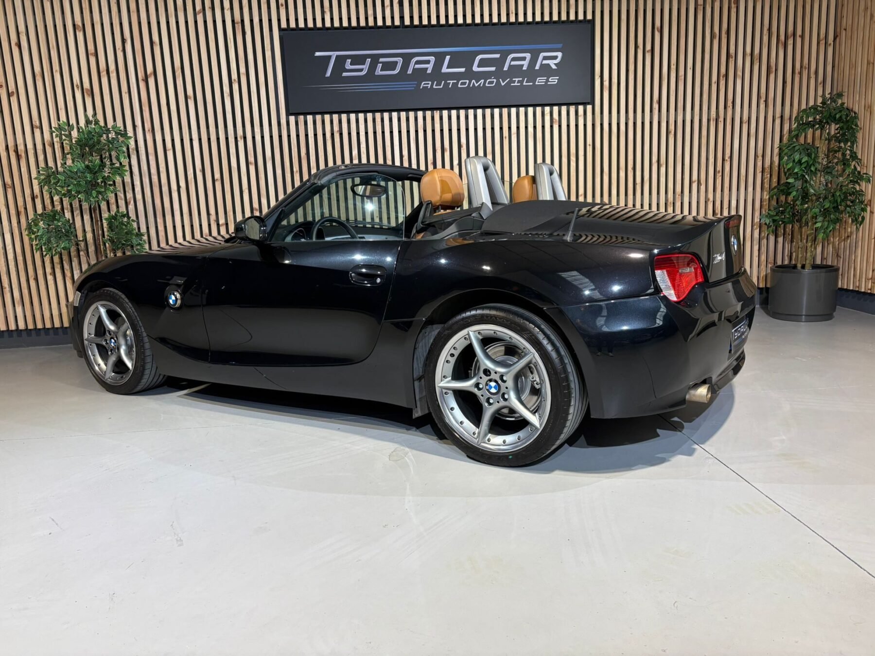 BMW Z4 2.0