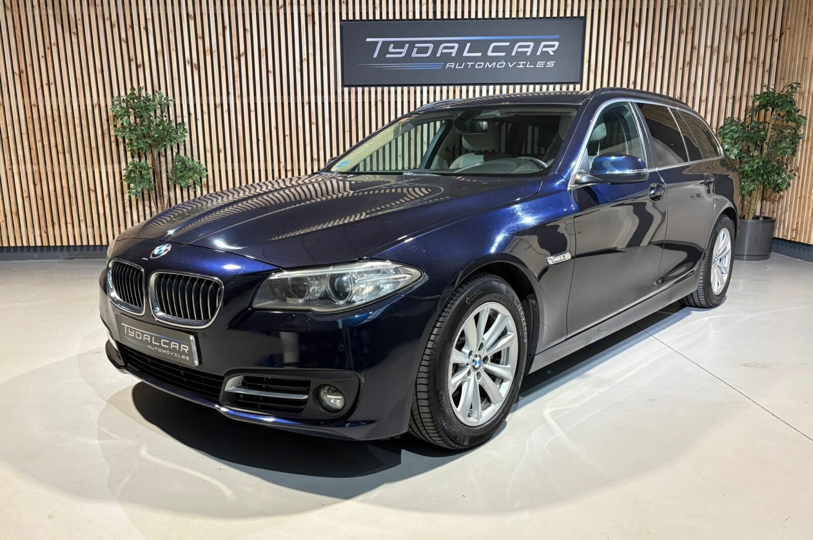 BMW Serie 5 520d xDrive 2.0d