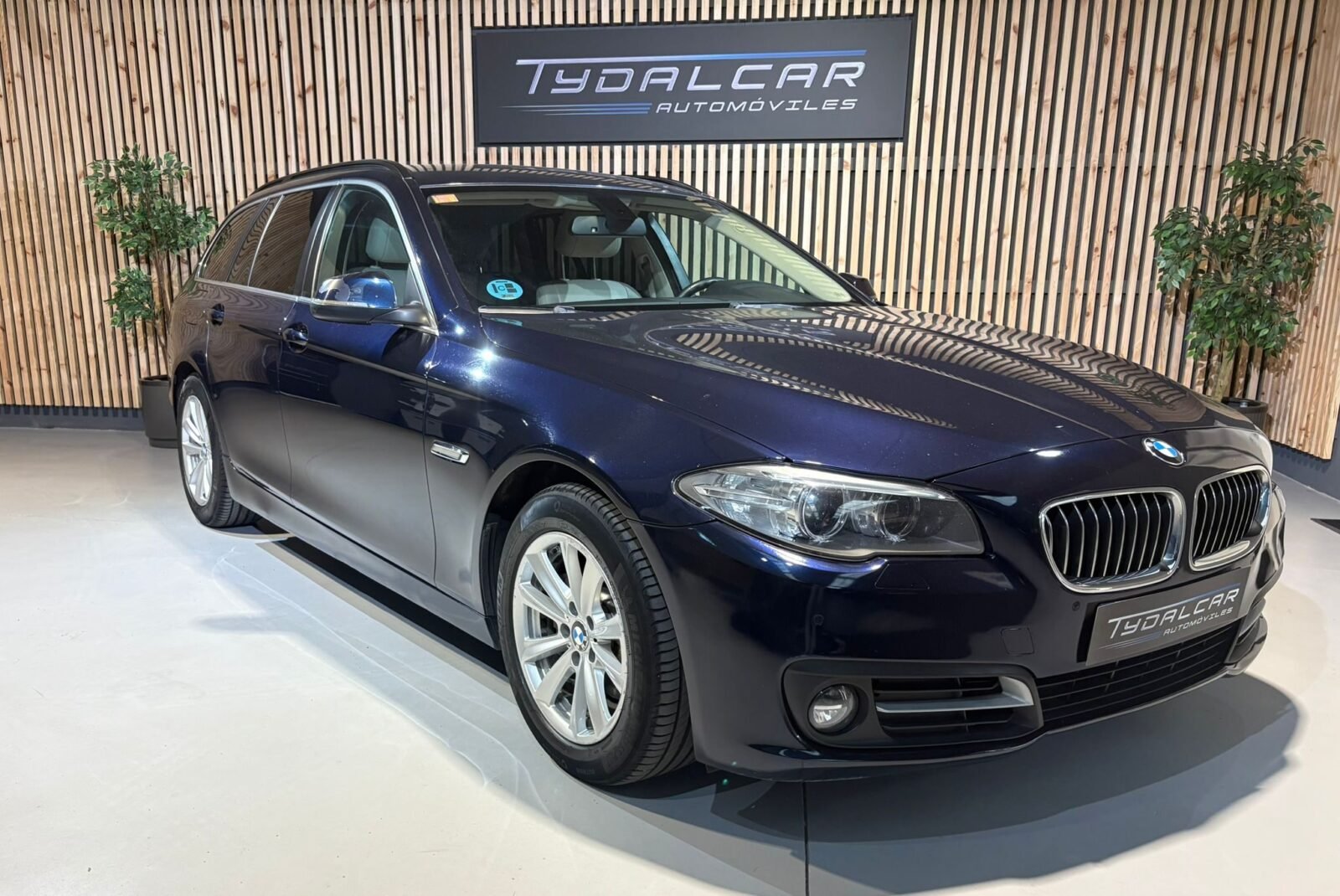 BMW Serie 5 520d xDrive 2.0d