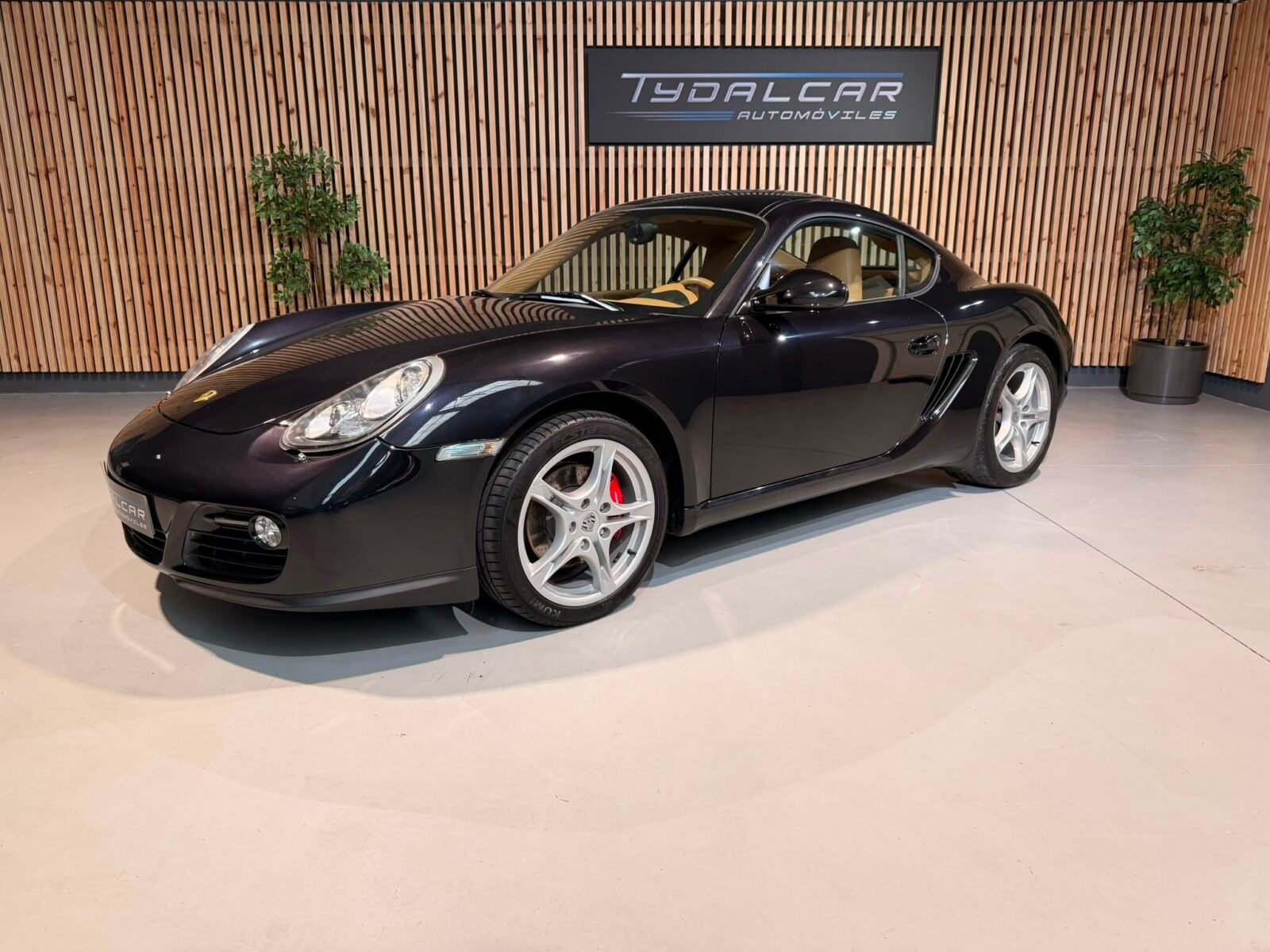 PORSCHE CAYMAN 2.9i