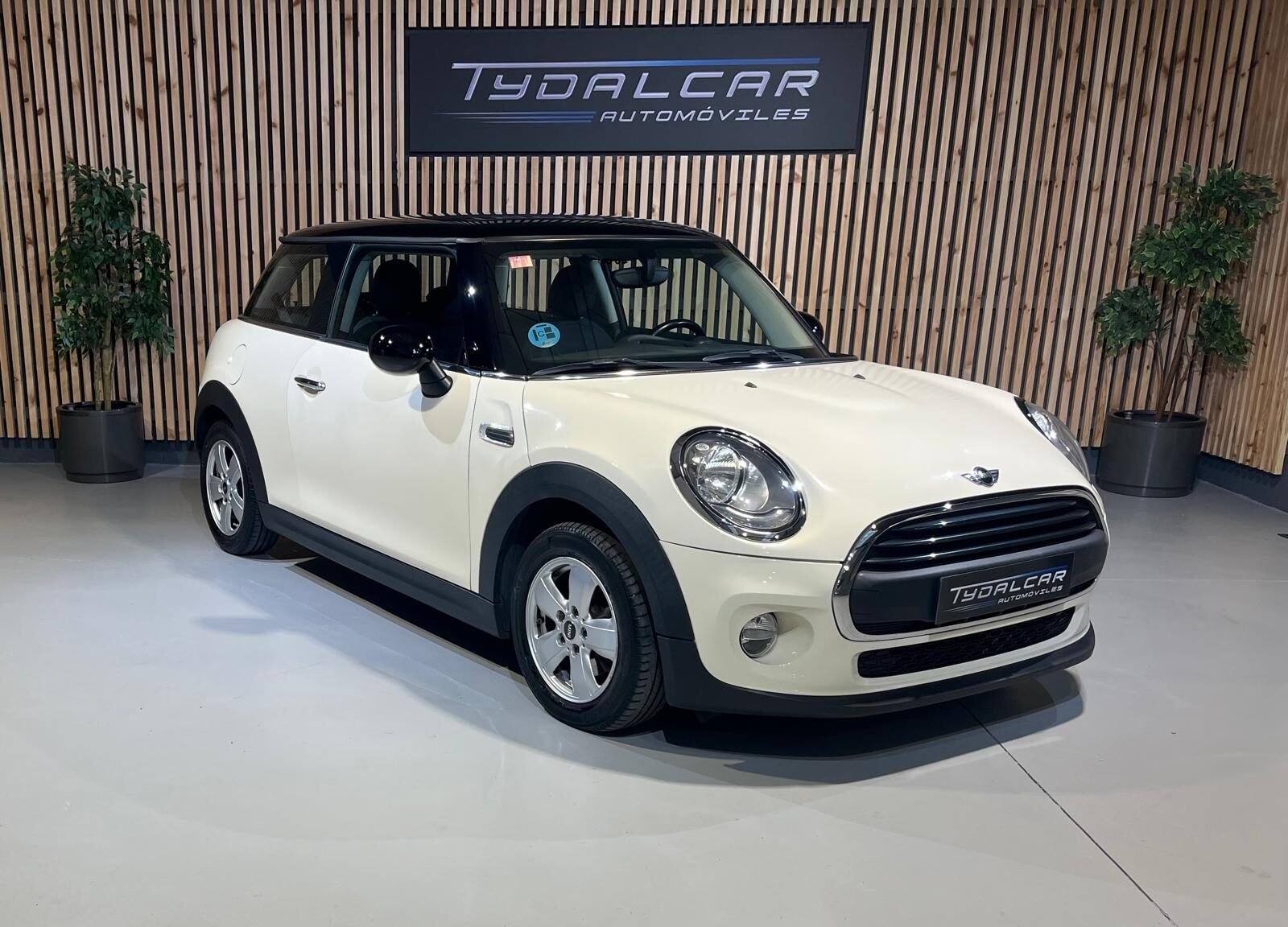 MINI ONE D