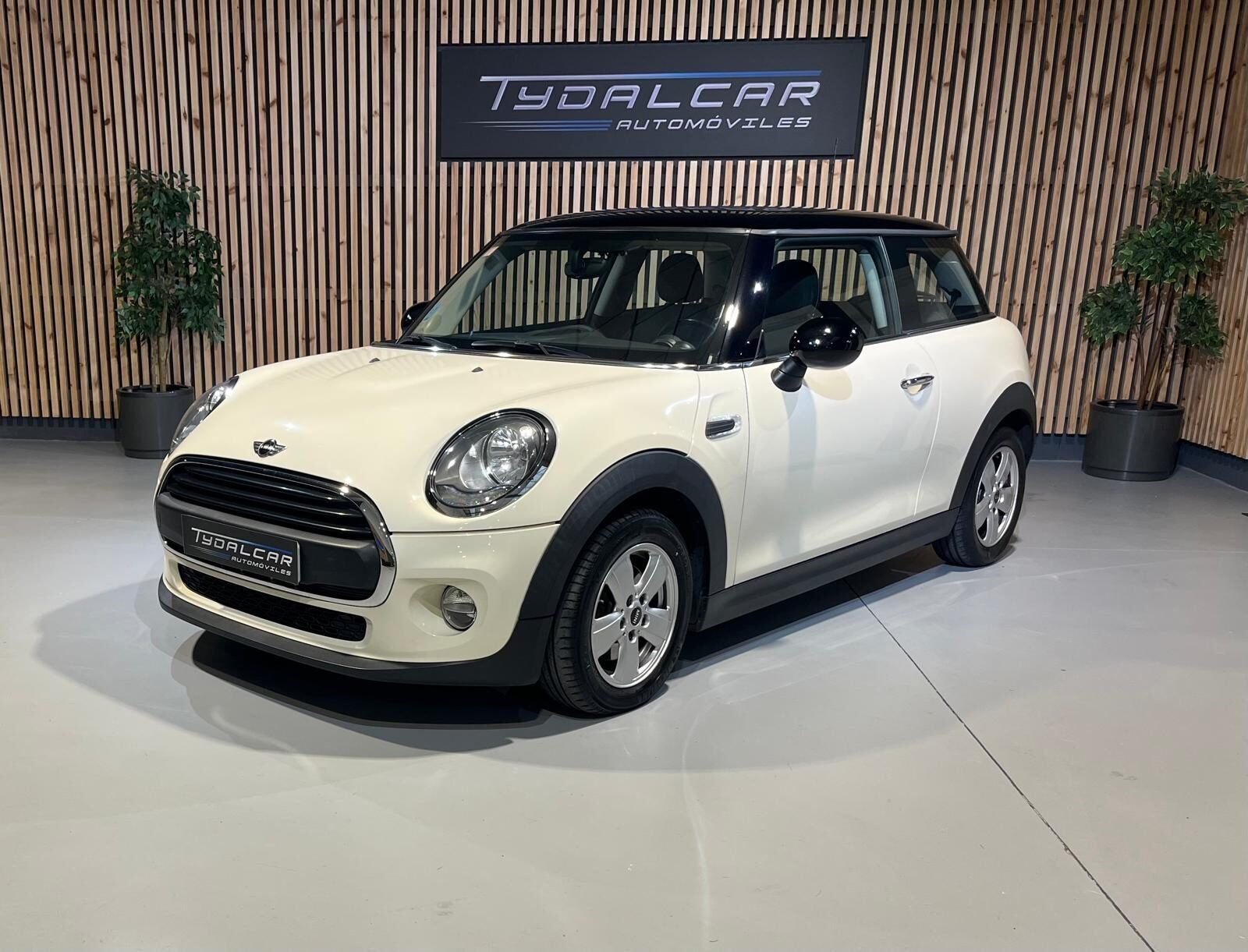 MINI ONE D